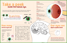 EyeMed Vision Curriculum Kits